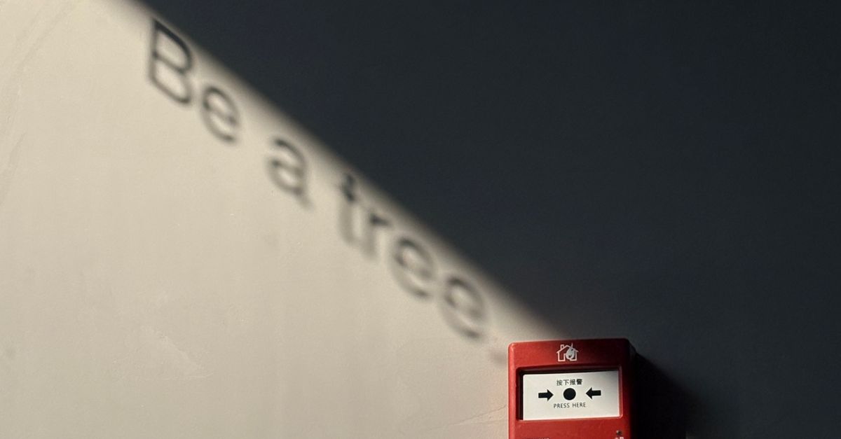 Common Misconceptions About Wireless Alarm Systems Debunked
