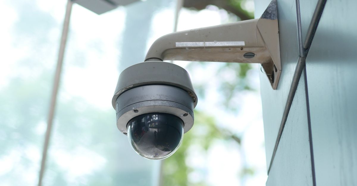 Professional vs DIY: Who Should Conduct System Checks?